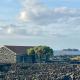 Pico Island Villas 2 - Ocean Front & UNESCO Heritage Century-Old Grapevines