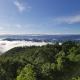 Cloud Nine Views #310 Sevierville - Photo 2
