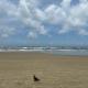 ED. ITAMARATI., Praia Grande - Fotografie 3