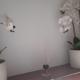 Old house 2, Glavice (foto 10)