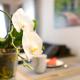 Ferienwohnung 'Ferien bei Buske', Tellingstedt - Fotografie 8
