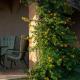 Sherden suites - Your House in Sardinia, Golfo Aranci (foto 4)