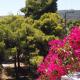 Fistiki Rooms #6,7, Agia Marina Aegina (zdjęcie 6)