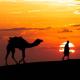 Desert Thrill Resort Sam, Sām - Φωτογραφία 3
