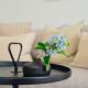 Apartment B14 Pine Hill Resort, Zirchow - Φωτογραφία 2