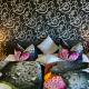 Suite-Apartment-Essen, Essen - Kuva 5