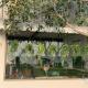 Peppermint Barn Hotel, Ban Khlong Khwang (foto 7)