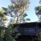 Chalet dans les pins, Carcans