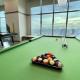 Modern Studio Unit with City and Golf Course View, Manille - Photo 10
