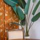 Cosy One Bedroom Flat Plus Loft, Окленд - Фото 6