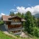 Chalet Meiseli Adelboden - Zdjęcie 10