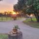 bird haven self catering, Donny-brook (fotografie 4)