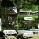 Les Grands Bois Gite et cabane