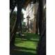Villa Emma, Marina di Pietrasanta (Foto 7)