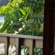 Riverview Cottage, Boesmansriviermond (fotografie 9)