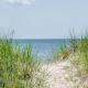 Pet Friendly Cape Cottage, Truro (fotografie 5)