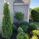 Pet Friendly Cape Cottage, Truro (fotografie 6)