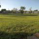 LaChorisia, Soleto (foto 6)