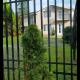Natalie's House, Kobuleti (Foto 8)