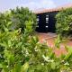 مزرعةبرتقالOrange farm