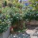 Stone House - Bike Friendly Home, Edessa (photo 4)