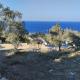 Plot to rent, Agios Nikolaos (fotografie 4)