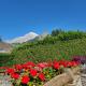 Charming Jonquille apt Cir 0080, Courmayeur (foto 2)