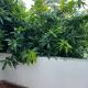 Villa de Compass Homestay Auroville, Kottakupam - Φωτογραφία 8