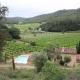 Small vineyard in Provence, Le Thoronet - Fotografie 1