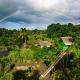 Tanna Volcano View Tree House