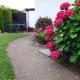 Fewo`s Birkenweg Ostseebad Rerik, Rerik - Foto 1