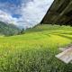Field House SaPa - Nậm Cang, Lao Cai