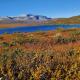 Cozy, well-equipped and family-friendly cabin in Geilo, Geilo - Foto 10