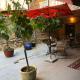 Excellent house, Ediger-Eller - Photo 1