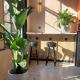 Heart of Amsterdam Hostel, Amsterdam (photo 9)