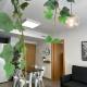 Apartamentos Vernia 4-15, Xàtiva (fotografie 2)
