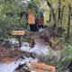 Conguillio glamping, Melipeuco (fotografie 4)