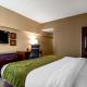 Comfort Suites at Woodbridge, Авенел (фото 4)