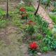 KARPUZKALDlRAN KARŞlSl MÜSTAKiL GİRiŞLİ BAHÇELi, Antalya - Foto 10