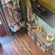 Mount Bolton Loft House, Portlaw