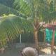 OCEANSURF hotel, Mompiche (Foto 6)