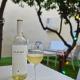 Local living in historic house with Private Garden, Msida (photo 2)