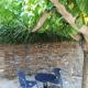 Aeolia Villas, Karistos (foto 4)