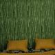 Backpacker Lodge, Bukit Lawang (fotografie 2)