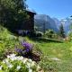 Chalet Luegistal, Wengen - Foto 5