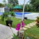 Benido Farm - A Secret Haven