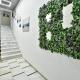 Flowers of Athens, Athen - Foto 6