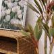 Jnineguesthouse, Soul - Fotografie 4