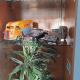 luxury vintage home, Casablanca - Photo 7