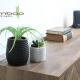 Bamboo Milano Isonzo, Milán - Fotografie 6